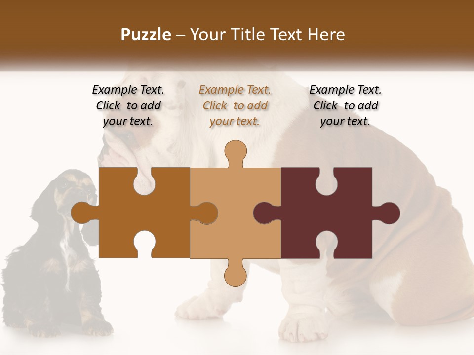 Face English Puppy PowerPoint Template