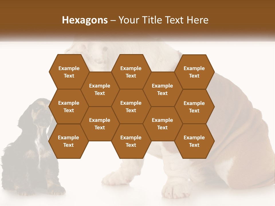 Face English Puppy PowerPoint Template