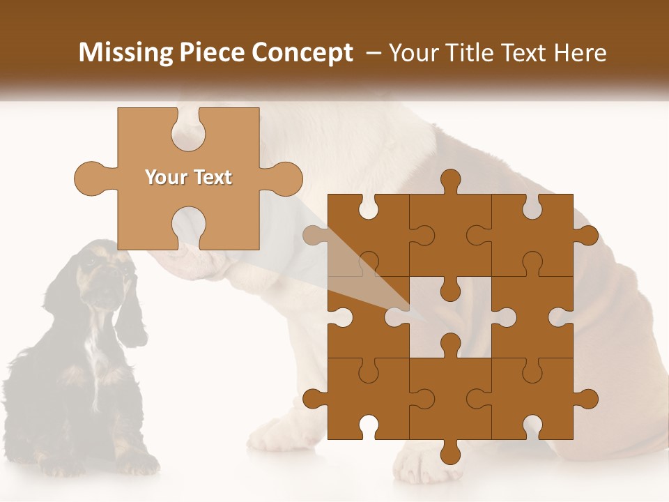 Face English Puppy PowerPoint Template