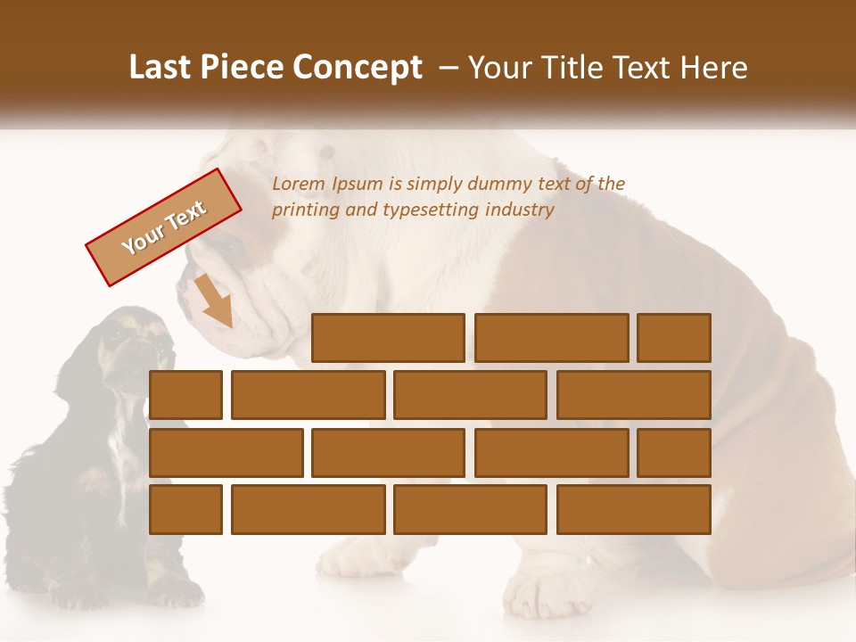 Face English Puppy PowerPoint Template