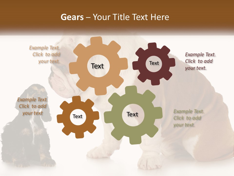 Face English Puppy PowerPoint Template