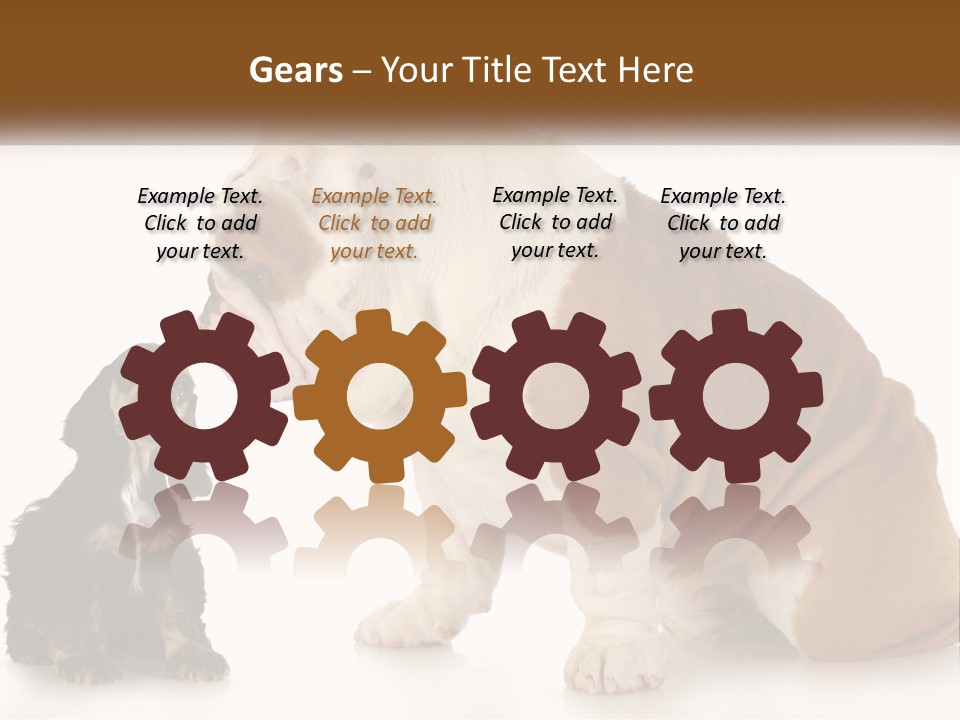 Face English Puppy PowerPoint Template