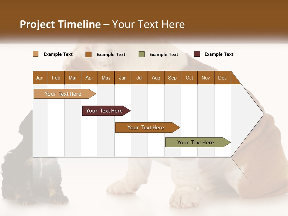 Face English Puppy PowerPoint Template