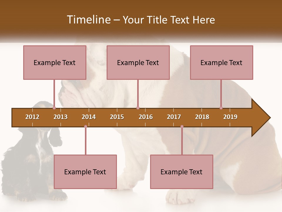 Face English Puppy PowerPoint Template