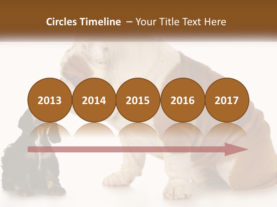 Face English Puppy PowerPoint Template