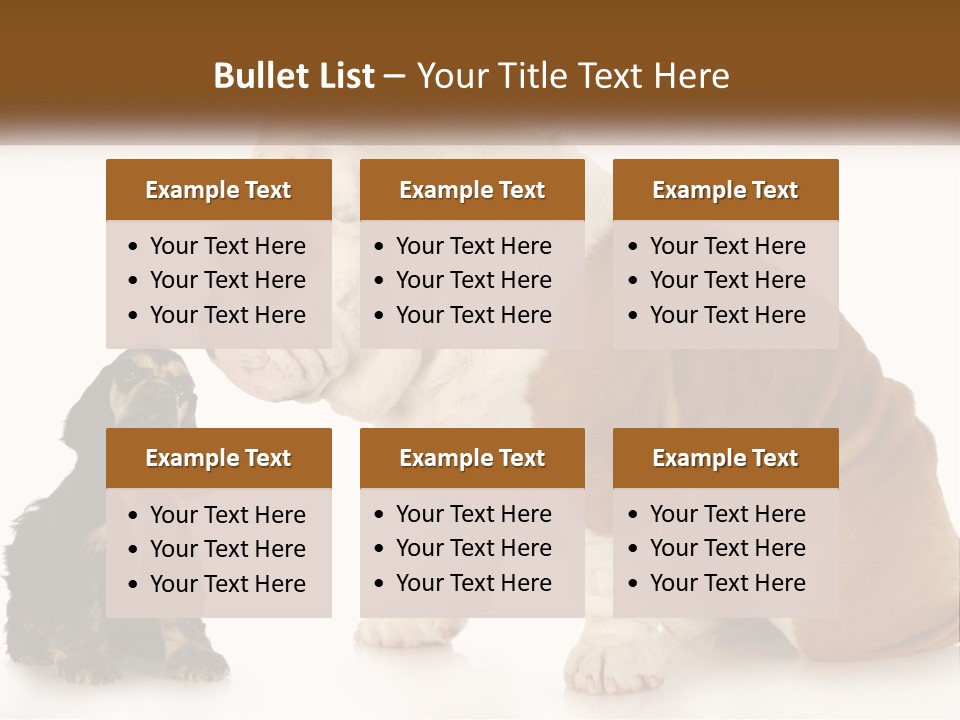 Face English Puppy PowerPoint Template