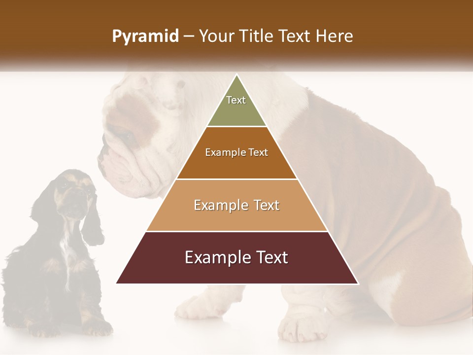 Face English Puppy PowerPoint Template