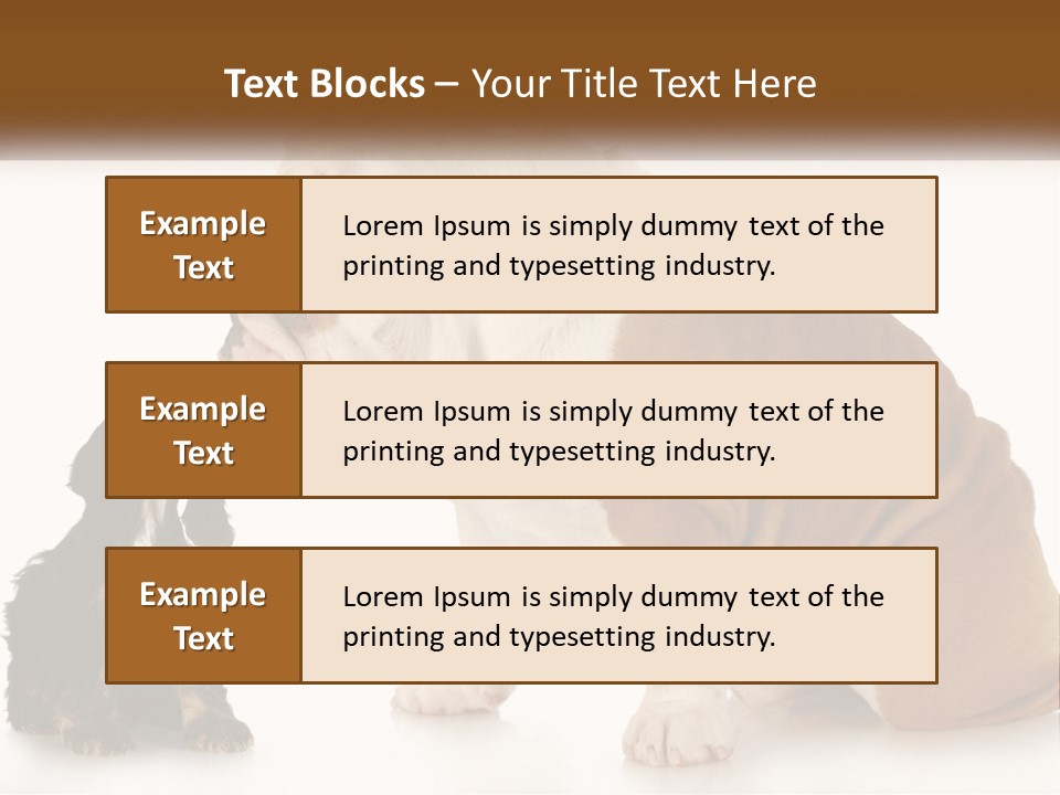 Face English Puppy PowerPoint Template