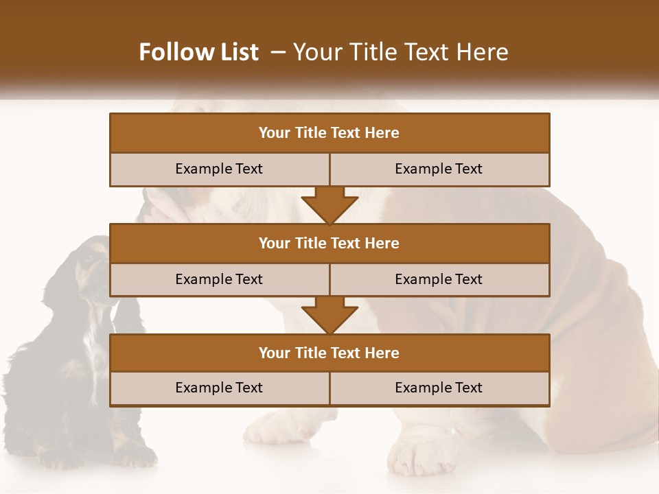 Face English Puppy PowerPoint Template
