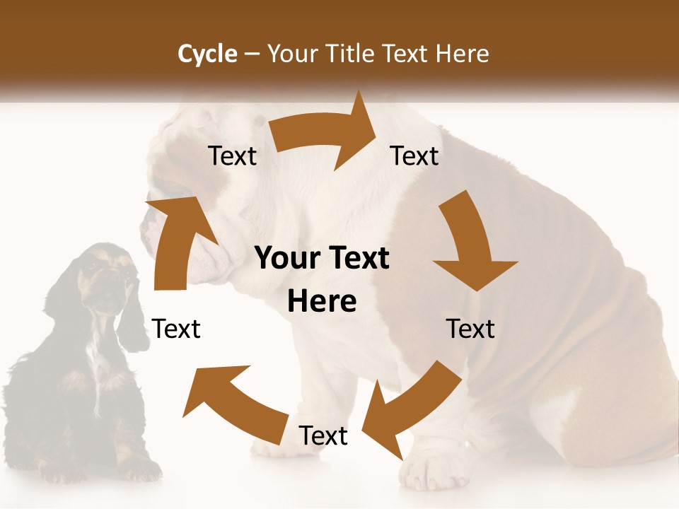 Face English Puppy PowerPoint Template