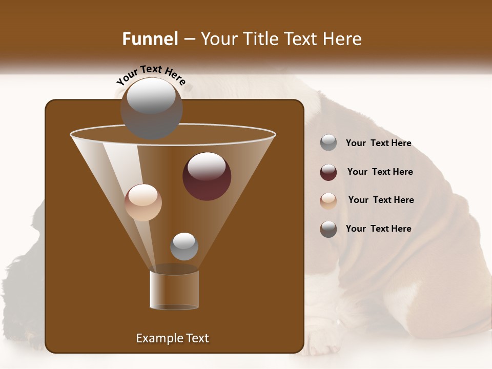 Face English Puppy PowerPoint Template