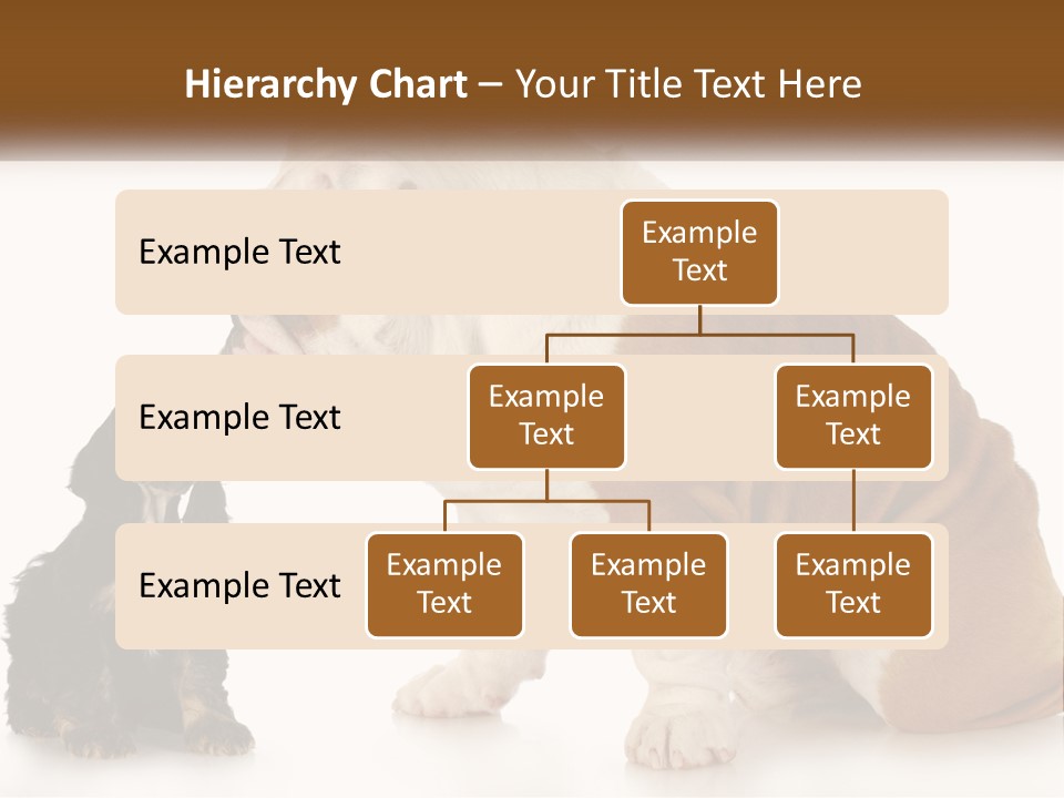 Face English Puppy PowerPoint Template