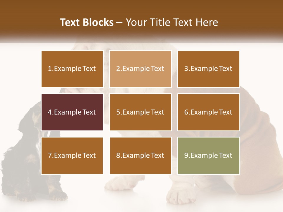 Face English Puppy PowerPoint Template