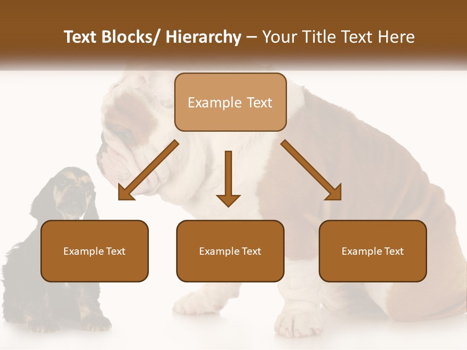 Face English Puppy PowerPoint Template