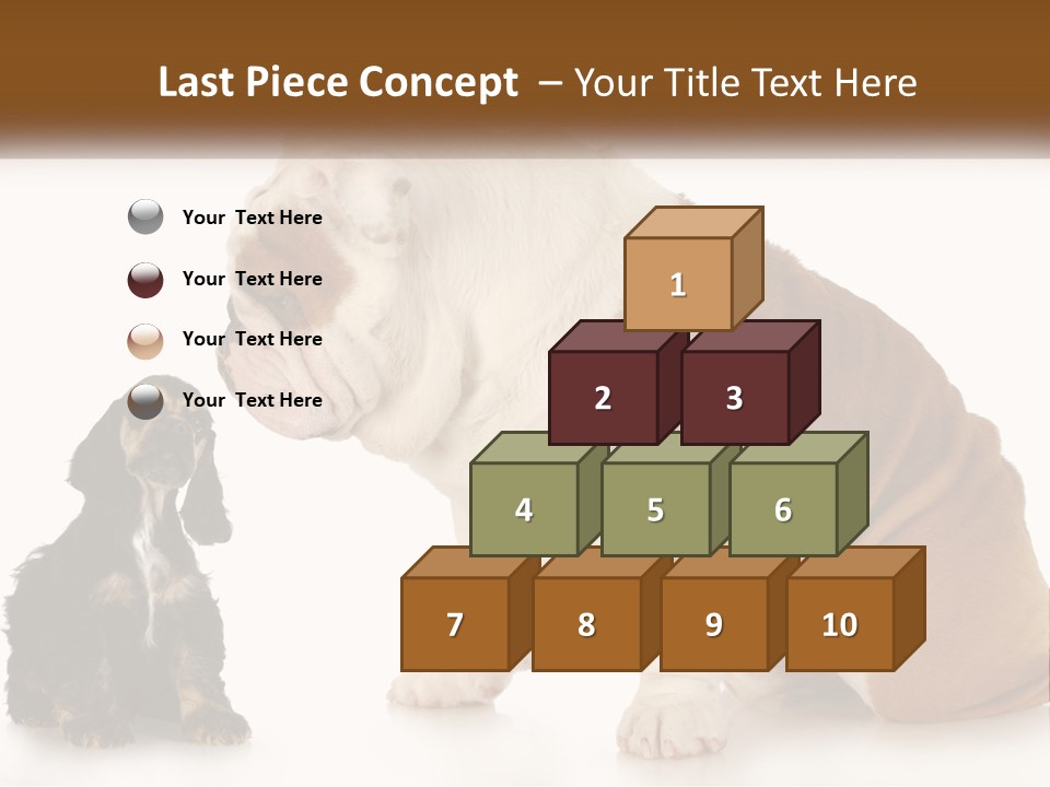 Face English Puppy PowerPoint Template