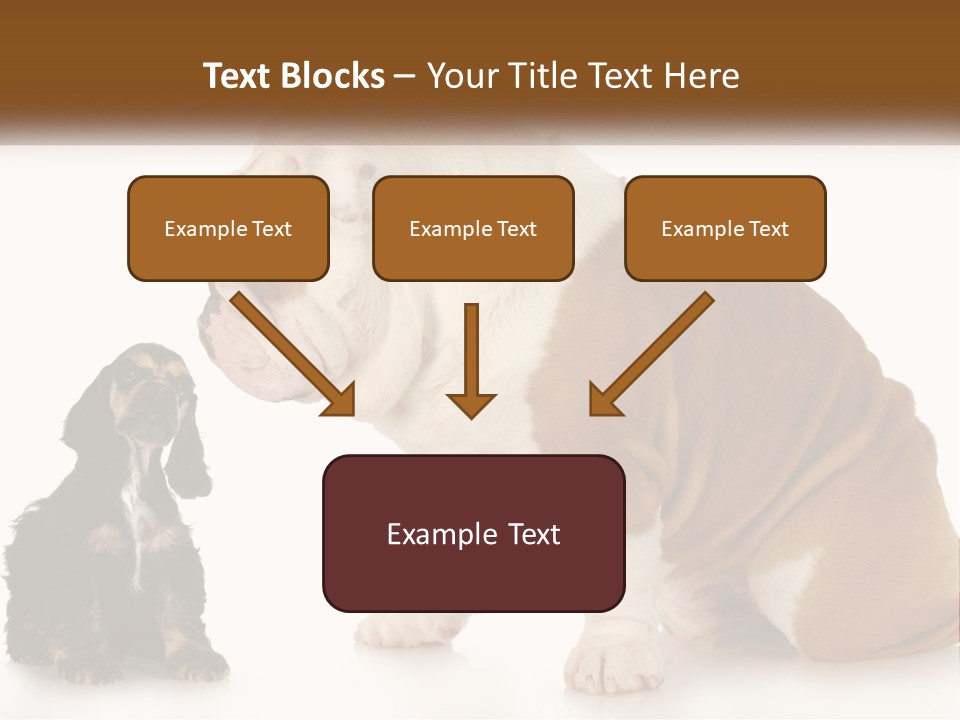 Face English Puppy PowerPoint Template