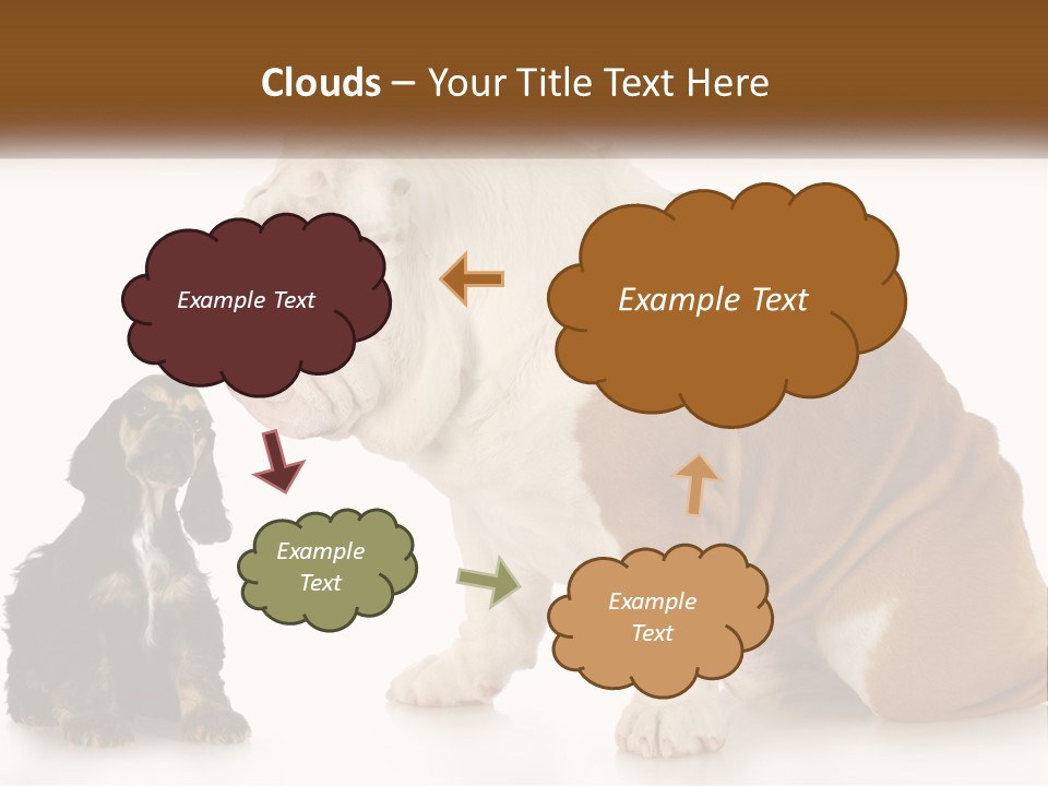 Face English Puppy PowerPoint Template