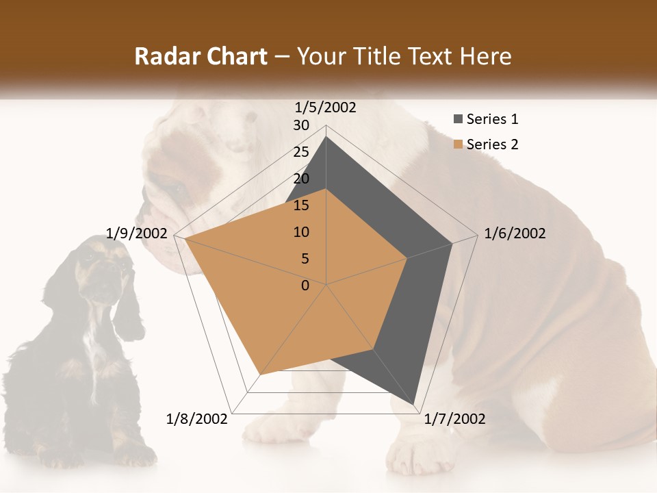 Face English Puppy PowerPoint Template