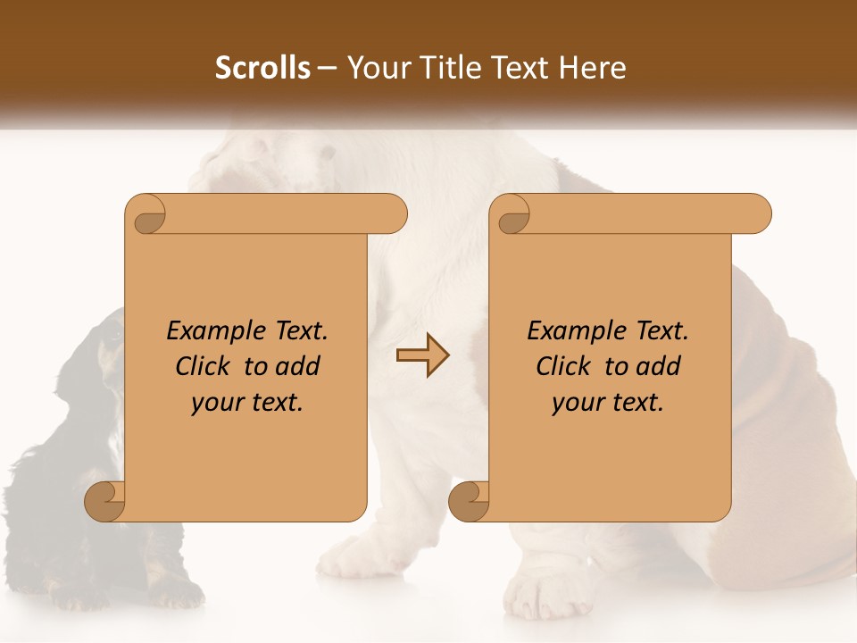 Face English Puppy PowerPoint Template