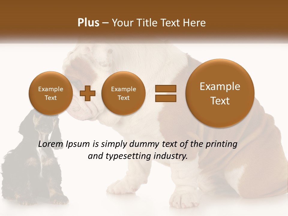 Face English Puppy PowerPoint Template