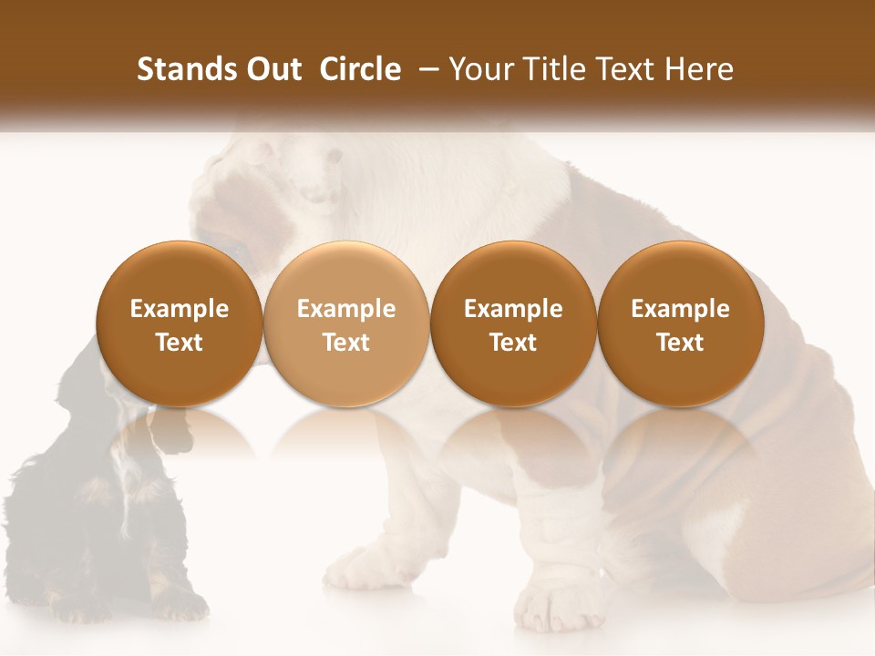 Face English Puppy PowerPoint Template