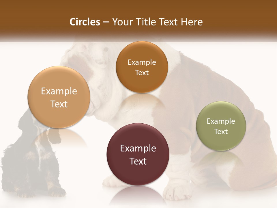 Face English Puppy PowerPoint Template