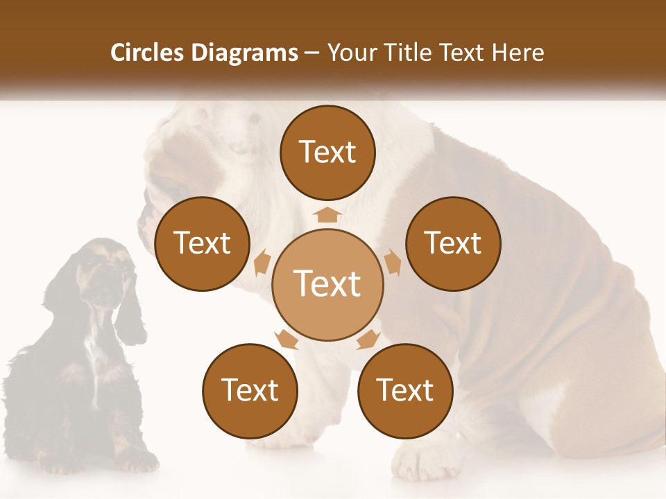 Face English Puppy PowerPoint Template