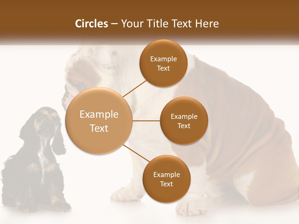 Face English Puppy PowerPoint Template
