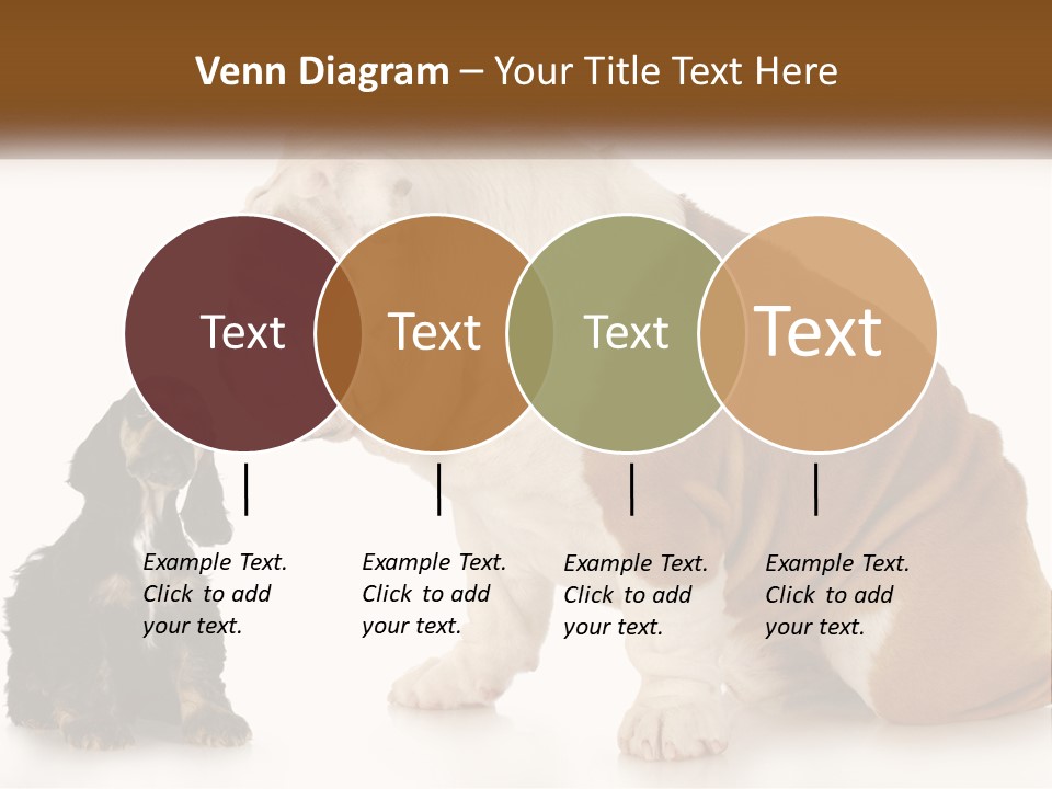 Face English Puppy PowerPoint Template