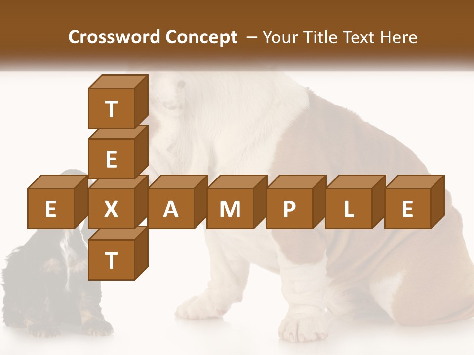 Face English Puppy PowerPoint Template