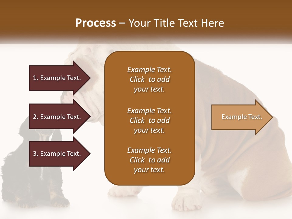Face English Puppy PowerPoint Template