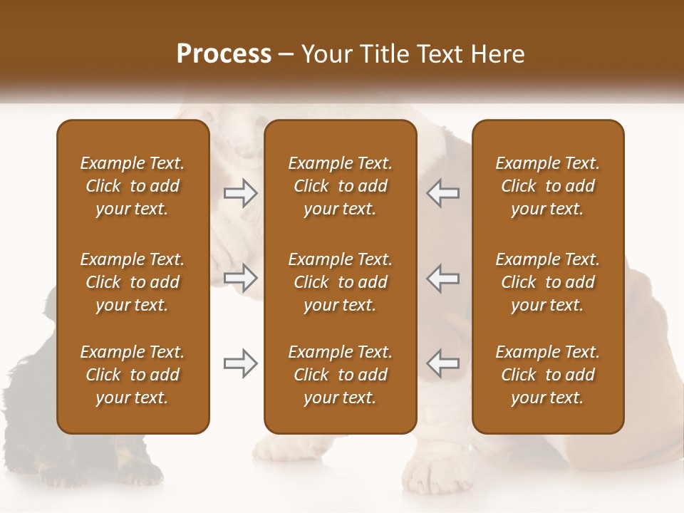 Face English Puppy PowerPoint Template