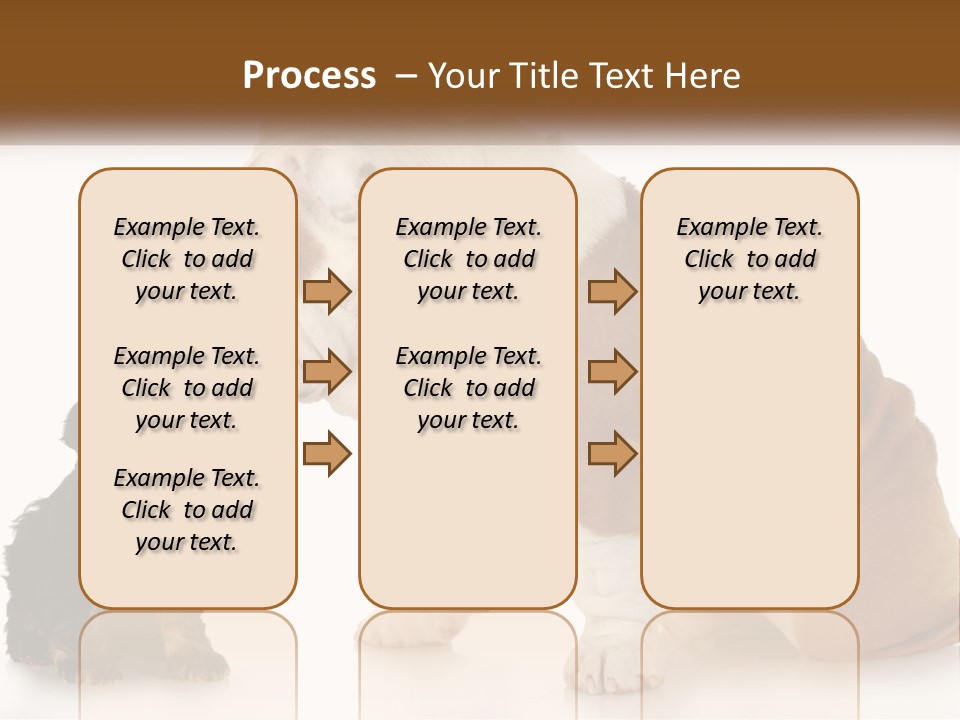 Face English Puppy PowerPoint Template