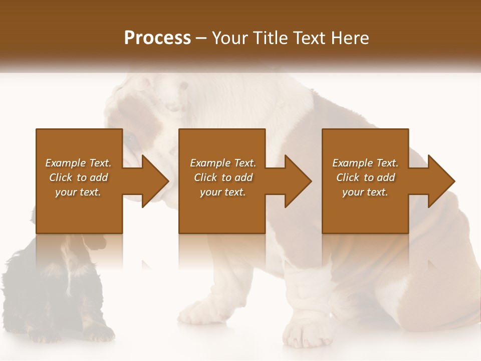 Face English Puppy PowerPoint Template