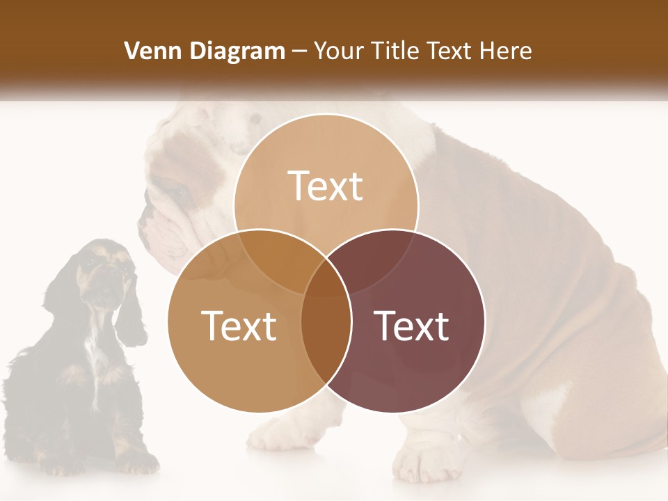 Face English Puppy PowerPoint Template