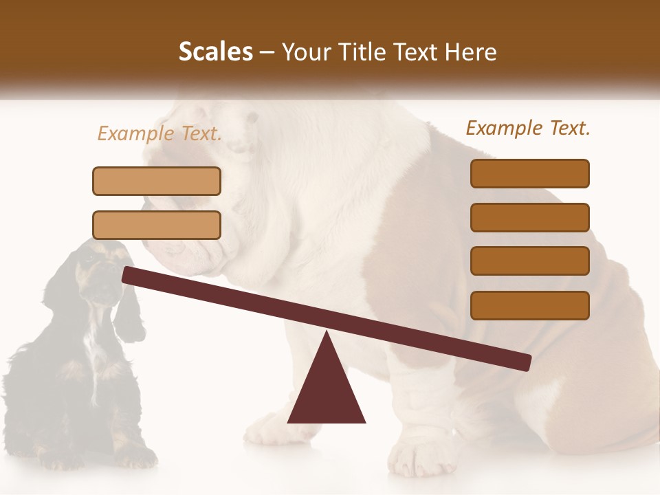 Face English Puppy PowerPoint Template