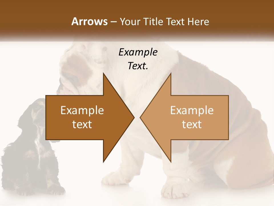 Face English Puppy PowerPoint Template