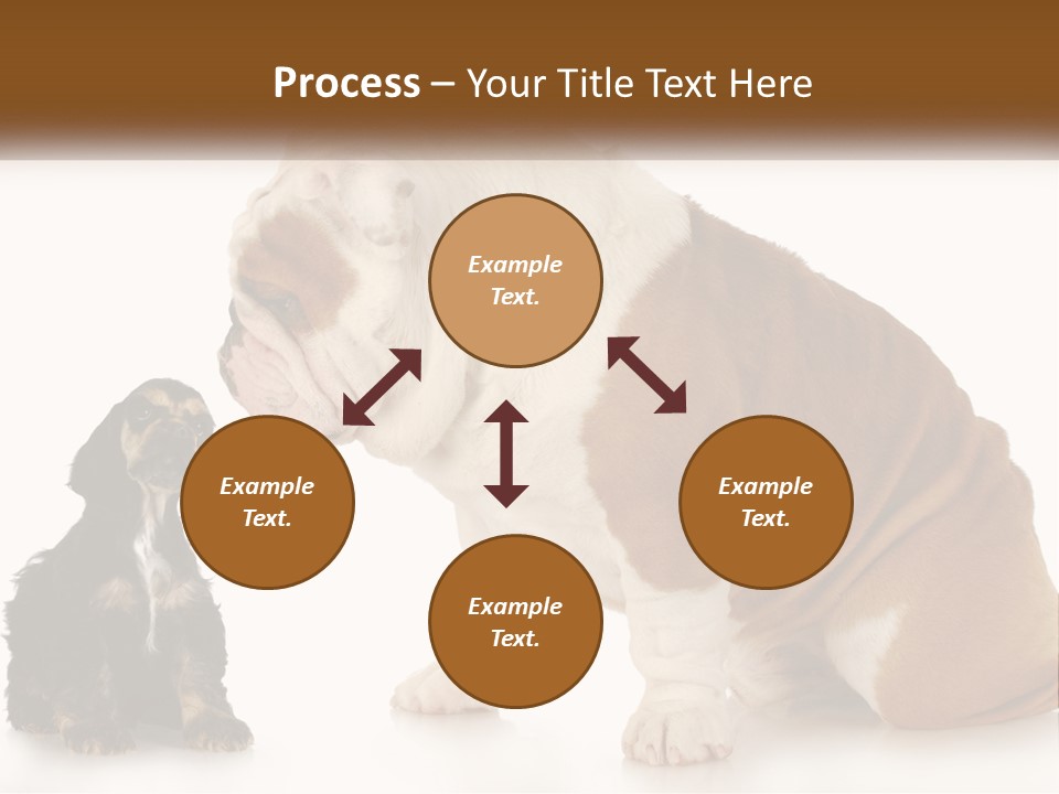 Face English Puppy PowerPoint Template