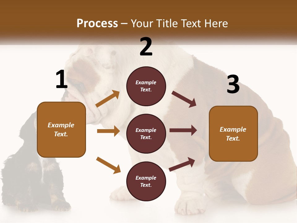 Face English Puppy PowerPoint Template
