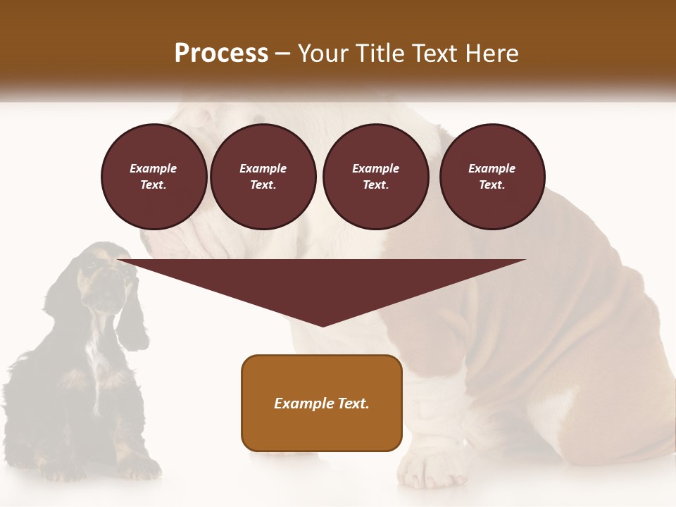 Face English Puppy PowerPoint Template