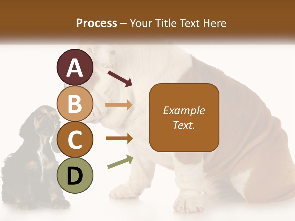 Face English Puppy PowerPoint Template