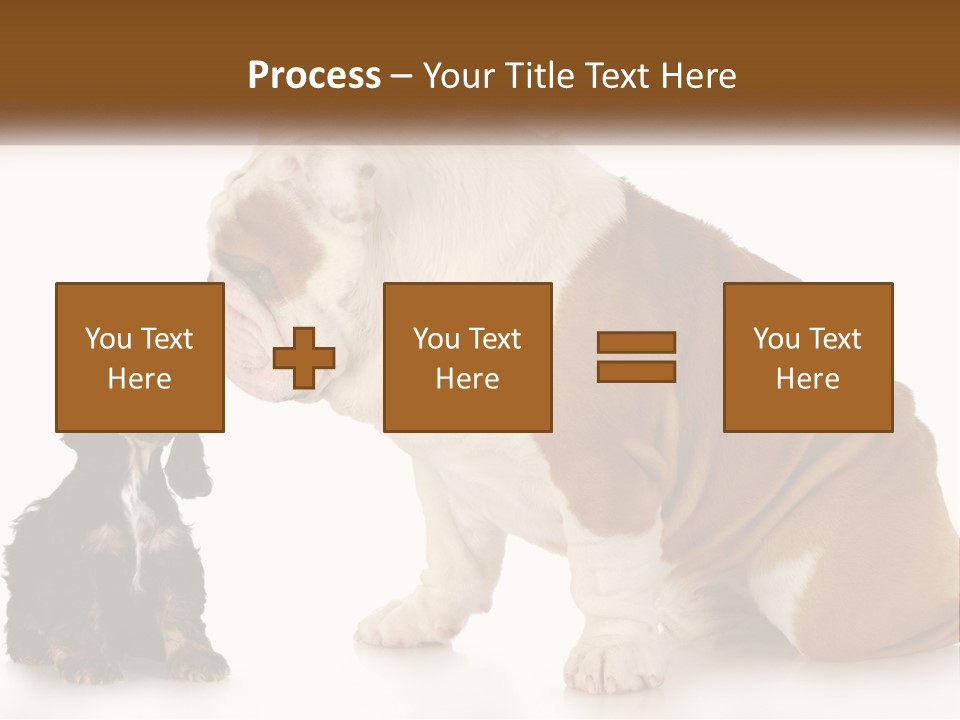 Face English Puppy PowerPoint Template