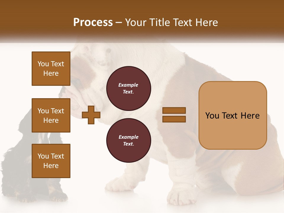 Face English Puppy PowerPoint Template