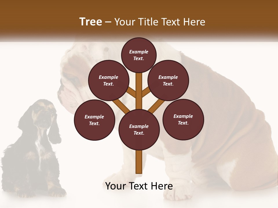 Face English Puppy PowerPoint Template