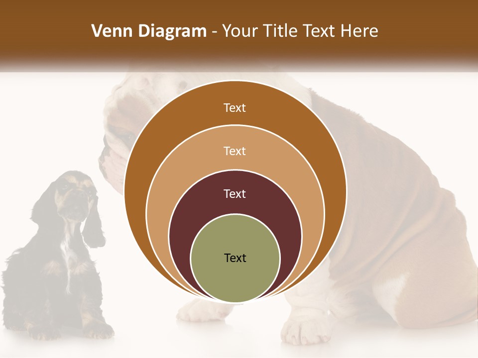 Face English Puppy PowerPoint Template