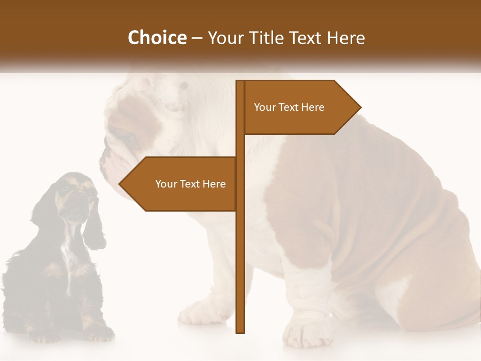 Face English Puppy PowerPoint Template