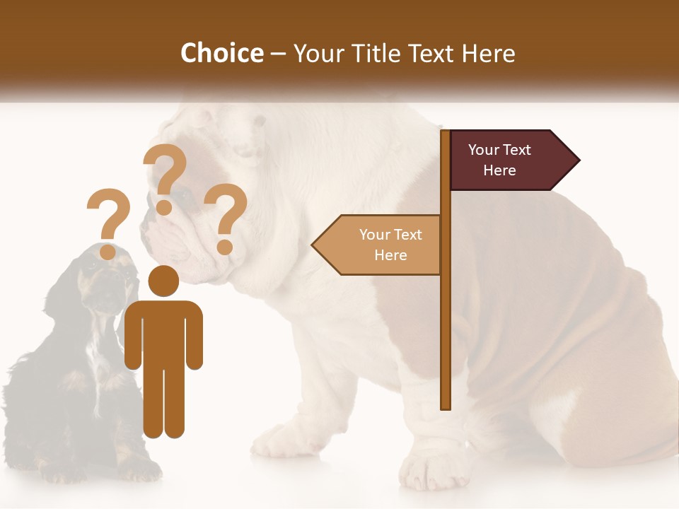 Face English Puppy PowerPoint Template