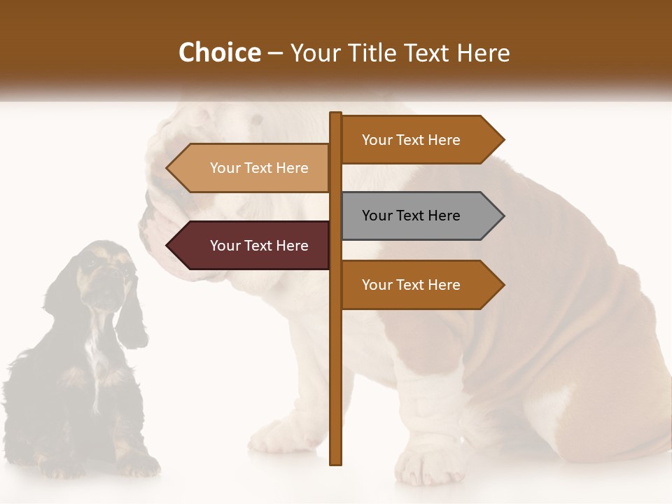 Face English Puppy PowerPoint Template