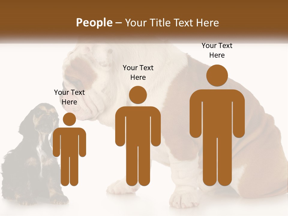 Face English Puppy PowerPoint Template