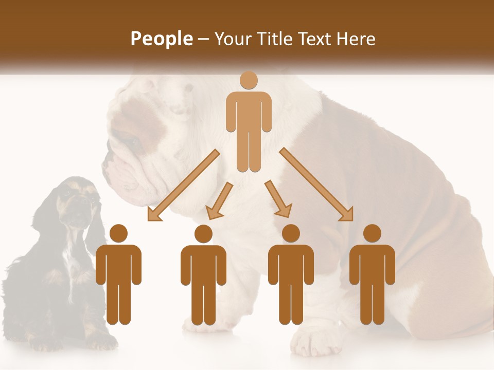 Face English Puppy PowerPoint Template